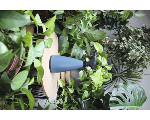 Pflanzensprüher mit verstellbarer Düse und verschiedenen Zimmerpflanzen