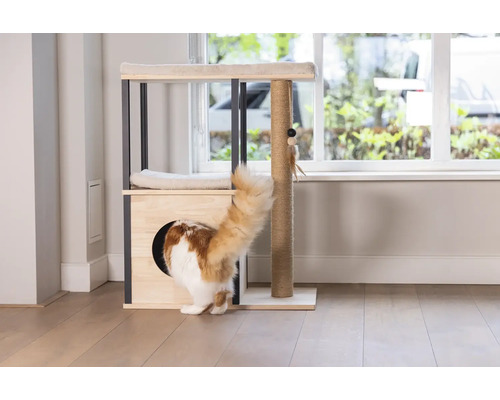Katze klettert in einen Kratzbaum mit Liegeflächen und Spielzeug