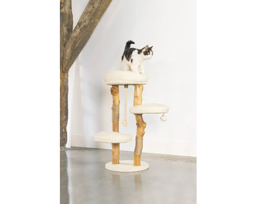 Katze auf einem Kratzbaum mit drei Ebenen und einem Spielseil
