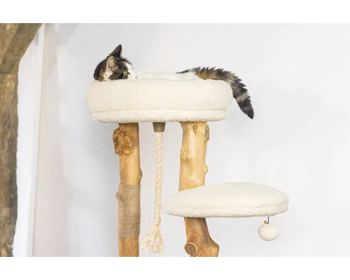 Katze liegt auf einem Kratzbaum aus Holz mit zwei Liegeflächen und einem Spielseil
