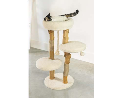 Katze ruht auf einem Kratzbaum mit drei Ebenen und Spielzeug