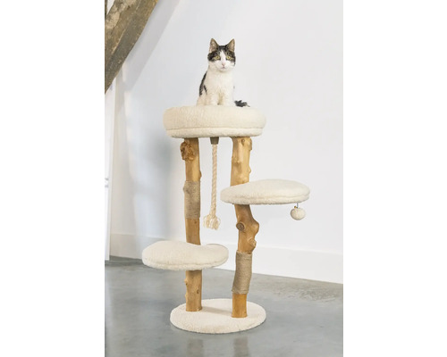 Katze sitzt auf einem Kratzbaum mit mehreren Ebenen und Sisalstämmen