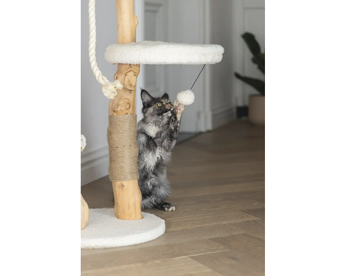 Katze spielt mit einem Spielzeug an einem Kratzbaum
