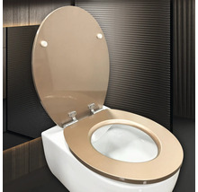 Aufnahme einer Toilette mit offenem Toilettendeckel