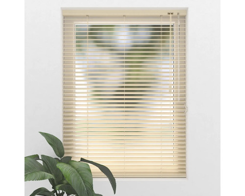 Fenster mit horizontalen Jalousien und Zimmerpflanze