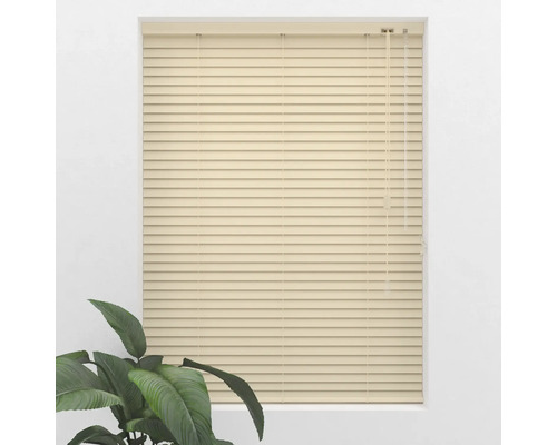 Fenster mit geschlossenem Rollladen und Zimmerpflanze