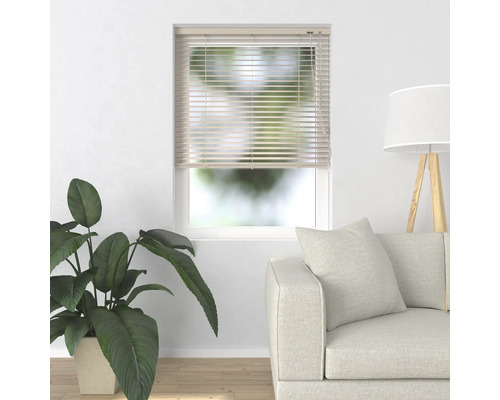 Wohnzimmer mit Fensterjalousie, Pflanze und Sofa