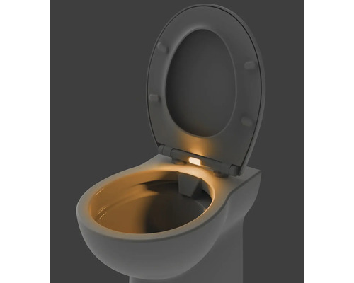 Toilette mit geöffnetem Toilettendeckel und integrierter Beleuchtung