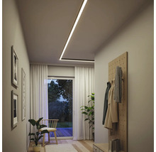 Flur mit Deckenleuchte, Garderobe, Zimmerpflanzen und Bildern an der Wand