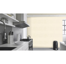 Helle Küche mit Spüle, Herd, Dunstabzugshaube und Mülleimer