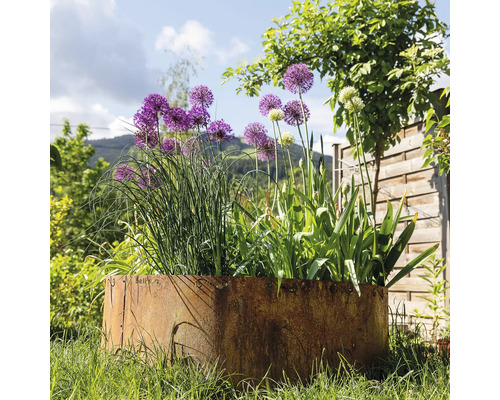 Runder Pflanzkübel aus Metall mit verschiedenen Pflanzen im Garten.