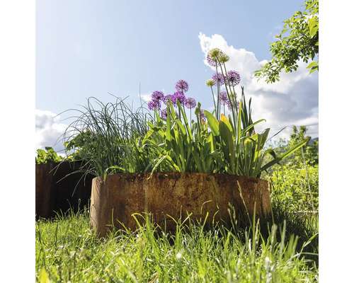 Blumen und Kräuter in Pflanzkübeln im Garten