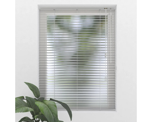 Fenster mit horizontalen Jalousien für Lichtschutz und Privatsphäre