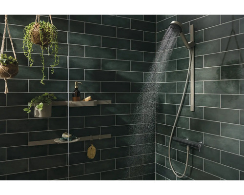 Modernes Badezimmer mit dunklen Fliesen, Regendusche und hängenden Pflanzen