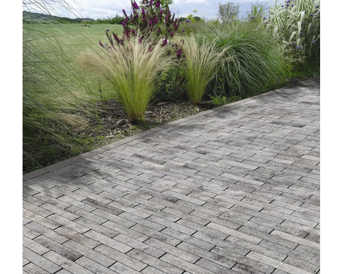 Pflastersteine auf einer Terrasse mit Pflanzen im Garten