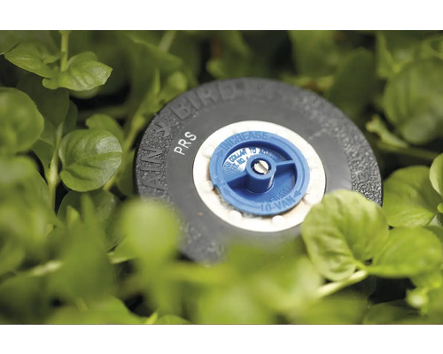 VRAIN Bird Druckregulierender Sprühkopf im Gras