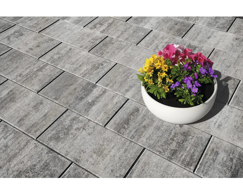 Beton Terrassenplatte iStone Alive greige 40 cm x 20 cm x 4 cm