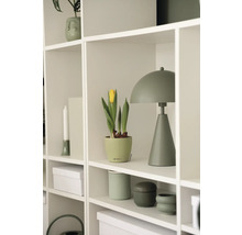 Blumentopf CLASSICO Color DECO 12 Lechuza Kunststoff 11,8 x 11,8 x 13,2 cm linde