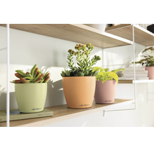 Blumentopf CLASSICO Color DECO 12 Lechuza Kunststoff 11,8 x 11,8 x 13,2 cm linde