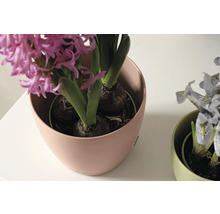 Blumentopf CLASSICO Color DECO 12 Lechuza Kunststoff 11,8 x 11,8 x 13,2 cm magnolie