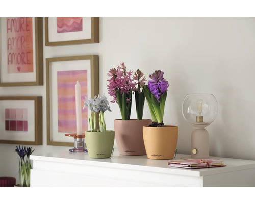 Dekorative Szene mit Frühlingsblumen in Übertöpfen auf einer Kommode, ergänzt durch eine Lampe und Bilderrahmen.