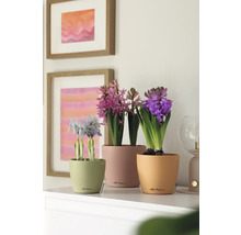 Blumentopf CLASSICO Color DECO 12 Lechuza Kunststoff 11,8 x 11,8 x 13,2 cm papaya