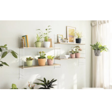 Blumentopf CLASSICO Color DECO 14 Lechuza Kunststoff 13,7 x 13,7 x 15,2 cm sandbraun