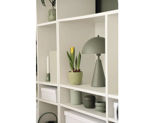 Regal mit Dekorationselementen, darunter eine Leuchte, eine Topfpflanze und dekorative Behälter