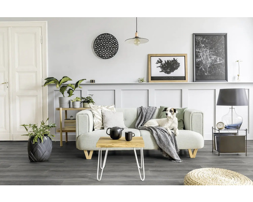 Wohnzimmer mit Sofa, Tisch, Zimmerpflanzen und Dekoration