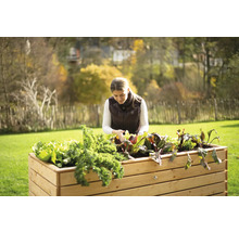 Hochbeet klassisch WESTMANN Asket XL 160 x 70 x 90 cm natur