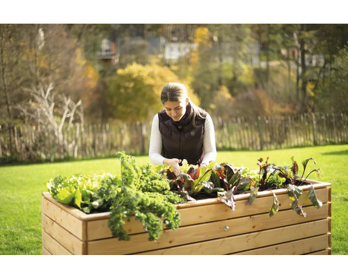 Frau gärtnert in einem Hochbeet mit Salat und Gemüse im Garten.