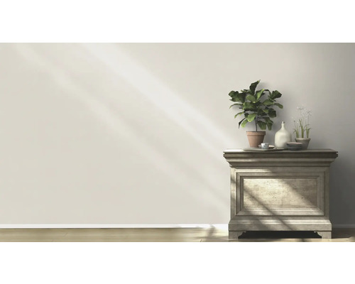 Helles Zimmer mit Pflanze und Dekoration auf einem Holzschrank