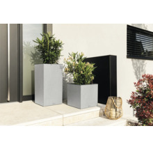 Szene mit zwei grauen Pflanzgefäßen aus Kunststoff, bepflanzt mit grünen Pflanzen, und einer Dekoleuchte aus Holz.