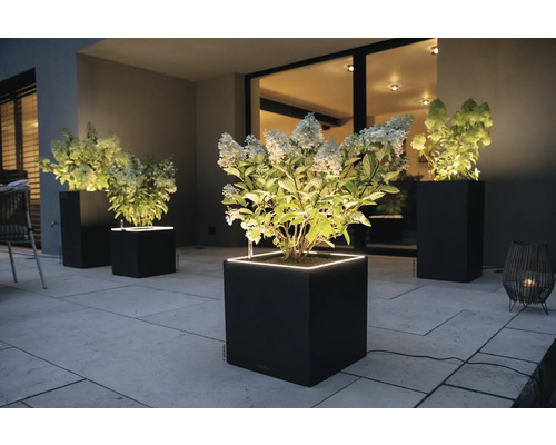 Beleuchtete Pflanzgefäße mit blühenden Hortensien auf einer Terrasse