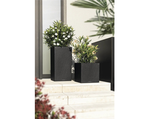 Zwei Pflanzgefäße aus Kunststoff mit Pflanzen auf einer Treppe.