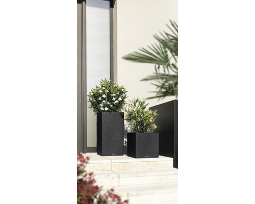 Zwei Pflanzgefäße aus Kunststoff in unterschiedlicher Größe mit Pflanzen davor