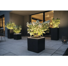 Beleuchtete Pflanzgefäße mit Pflanzen auf einer Terrasse