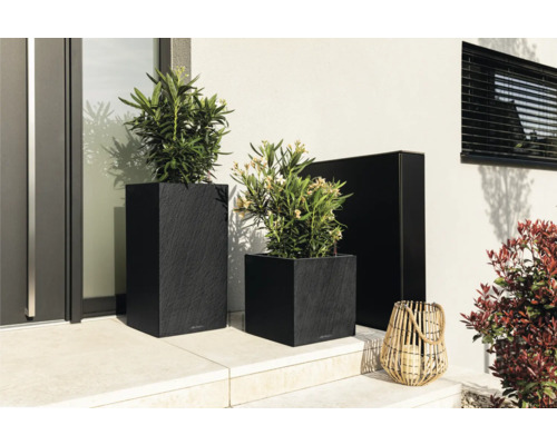 Drei Pflanzkübel mit Pflanzen und eine dekorative Laterne im Außenbereich.