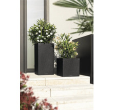 Zwei bepflanzte, dunkle Pflanzkübel in unterschiedlicher Form und Größe stehen auf einer Treppe vor einem Haus.