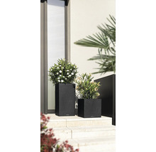 Zwei schwarze Pflanzkübel aus Kunststoff in unterschiedlichen Größen mit Pflanzen