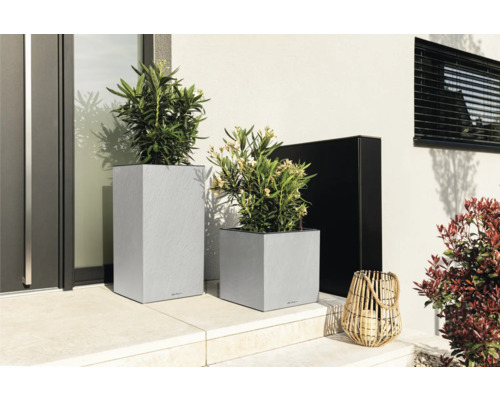 Draußenaufnahme mit zwei grauen Pflanzgefäßen unterschiedlicher Größe und Form mit Pflanzen
