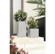 Zwei graue Pflanzgefäße mit Pflanzen auf einer Treppe vor einem Gebäude