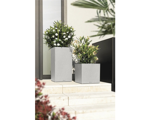 Zwei graue Pflanzgefäße mit Pflanzen auf einer Treppe vor einem Gebäude