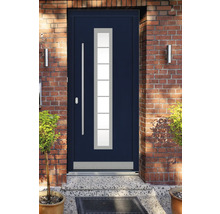 Haustür DW12 Kiefer RAL 5003 saphierblau 1100x2100 mm DIN Links (nach innen öffnend)