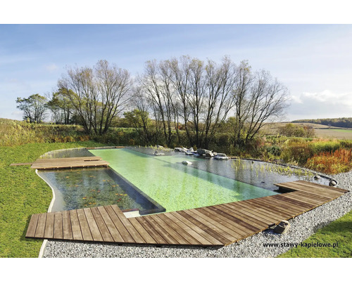 Natürlicher Schwimmteich mit Holzsteg in ländlicher Umgebung