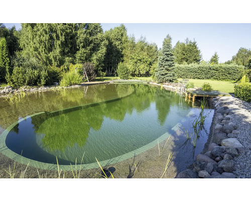 Natürlicher Schwimmteich mit Steinen und Bepflanzung im Garten