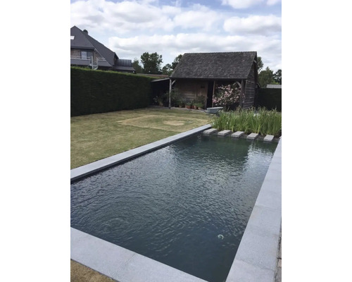 Gartenszene mit Teich, Rasenfläche und Holzhaus