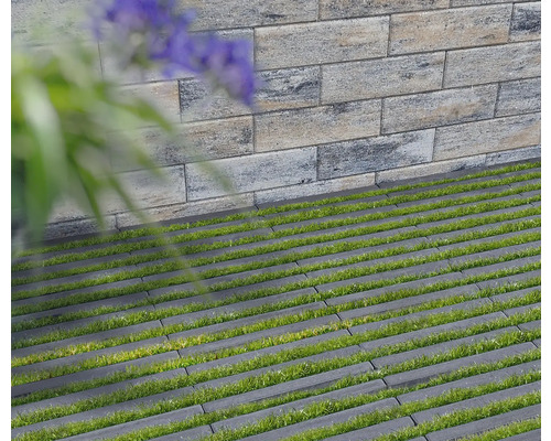 Rasengittersteine aus Beton mit Grasbewuchs vor einer Mauer