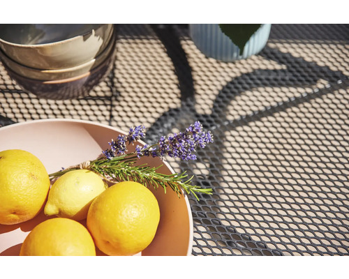 Dekorative Szene mit Zitronen und Lavendel auf einem Gartentisch