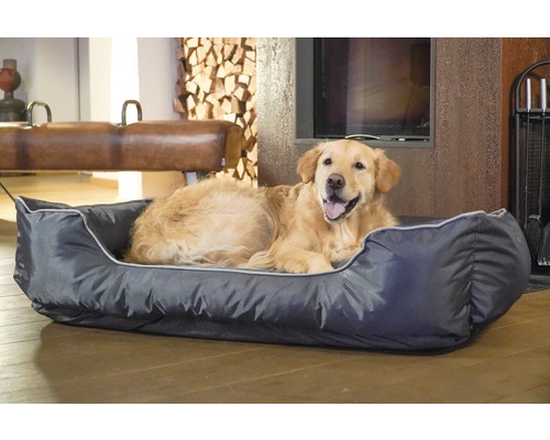 Hund liegt in einem grauen Hundebett